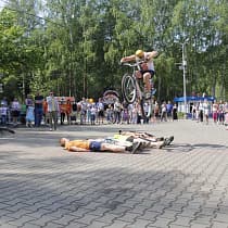 галерея
