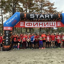 галерея