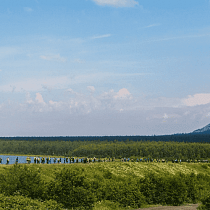 галерея