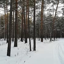 галерея