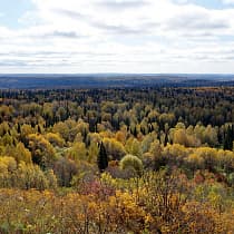 галерея