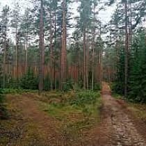 галерея