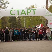 галерея