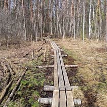 галерея