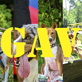 Gavki Race, Григорчиково