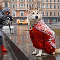 галерея