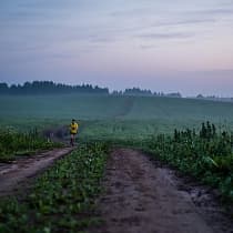галерея