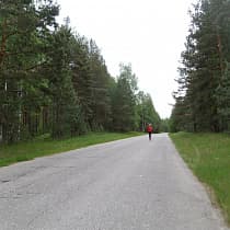 галерея