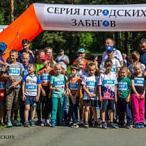 галерея