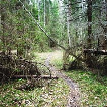 галерея