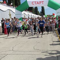 галерея