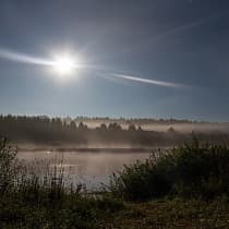 галерея