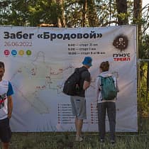галерея