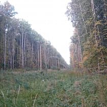 галерея