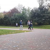 галерея