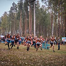 галерея