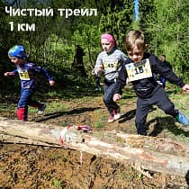 галерея