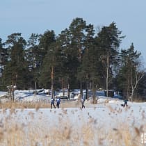 галерея