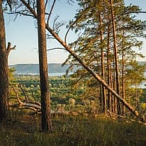 галерея