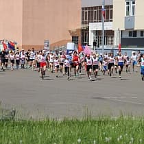 галерея