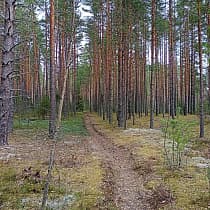галерея