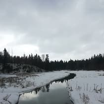 галерея