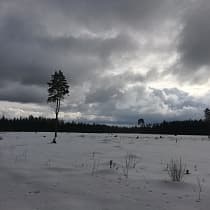 галерея