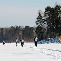 галерея
