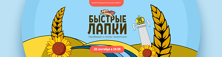Забег Быстрые лапки