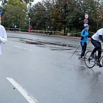 галерея