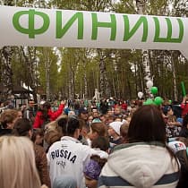 галерея