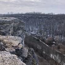 галерея
