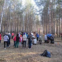 галерея