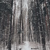 галерея