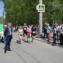галерея
