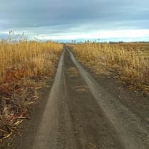 галерея