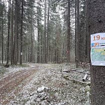 галерея
