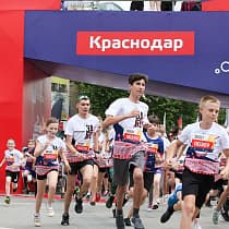 галерея