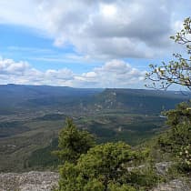 галерея