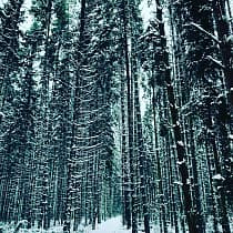 галерея