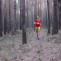 галерея