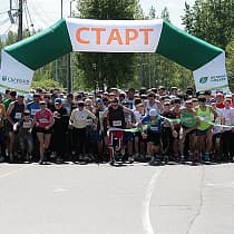 галерея