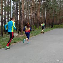 галерея