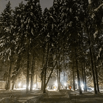 галерея