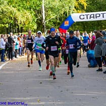галерея