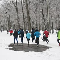 галерея
