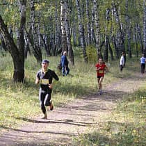 галерея