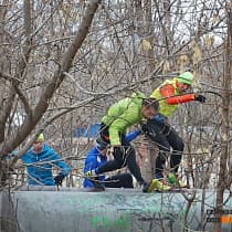 галерея