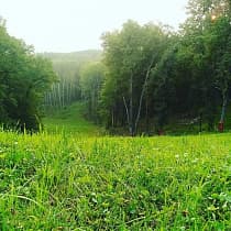 галерея