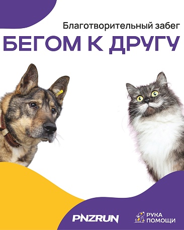 Забег Благотворительный забег 